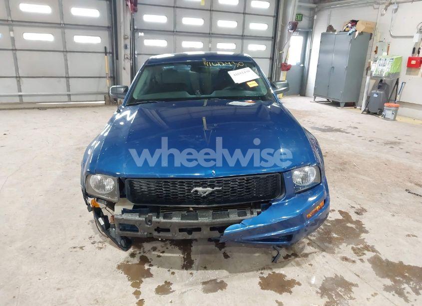Photo 13 of 2008 Ford Mustang V6 DELUXE/V6 PREMIUM (VIN 1ZVHT80N985193359)