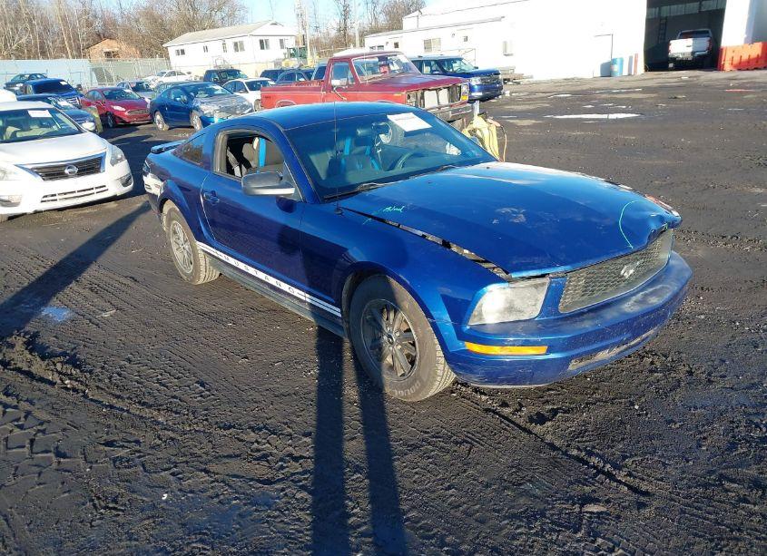 2008 Ford Mustang V6 DELUXE/V6 PREMIUM (VIN 1ZVHT80N985197881) main photo