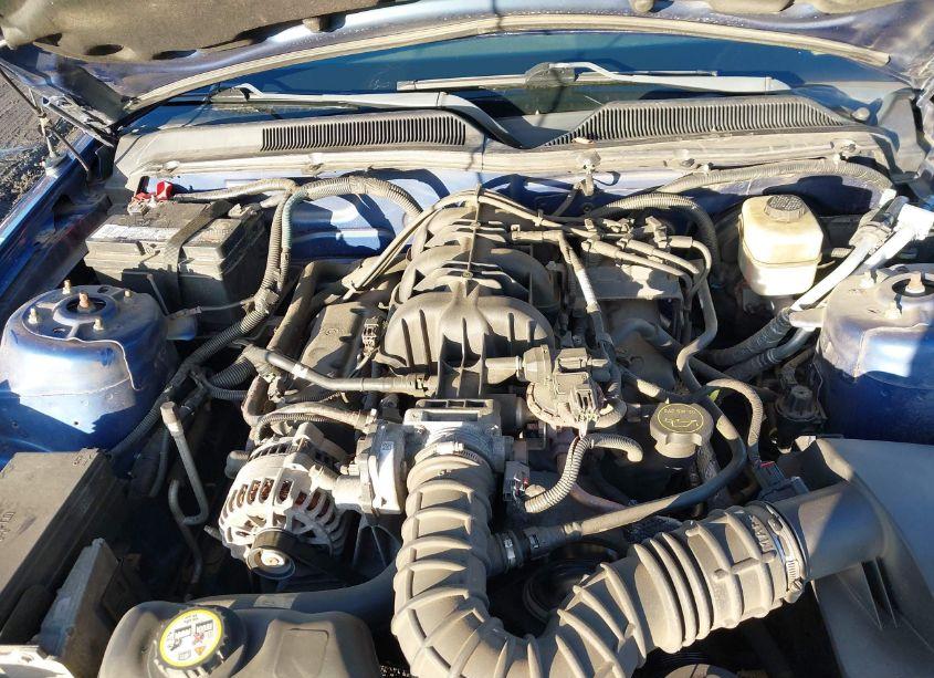 Photo 10 of 2008 Ford Mustang V6 DELUXE/V6 PREMIUM (VIN 1ZVHT80N985197881)