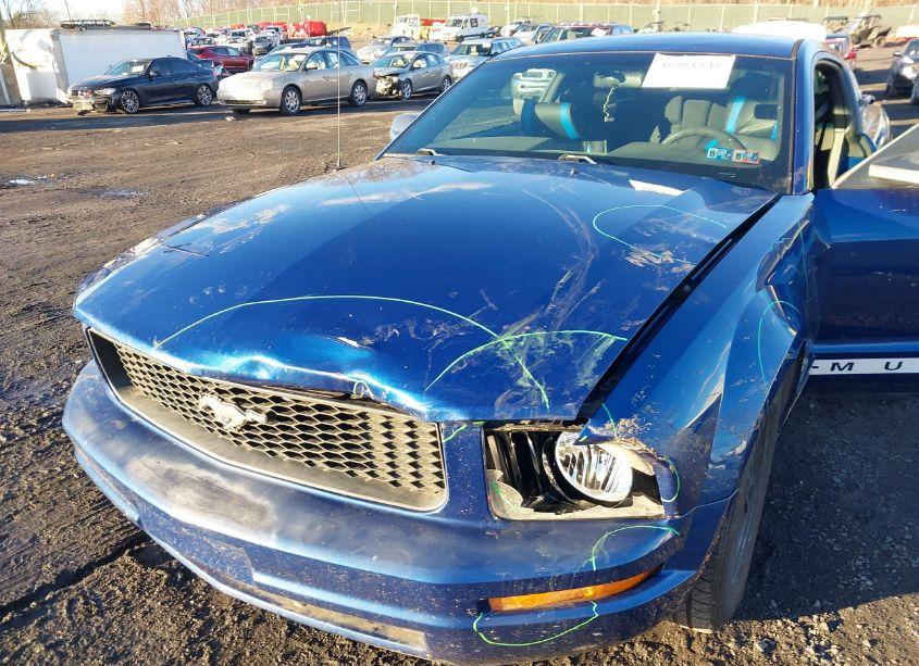 Photo 6 of 2008 Ford Mustang V6 DELUXE/V6 PREMIUM (VIN 1ZVHT80N985197881)