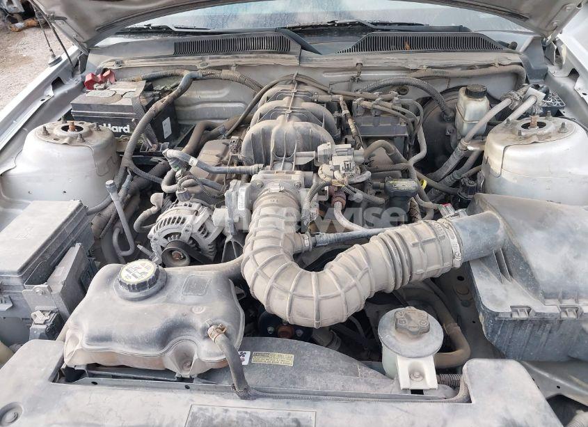 Photo 10 of 2009 Ford Mustang V6/V6 PREMIUM (VIN 1ZVHT80N995101409)