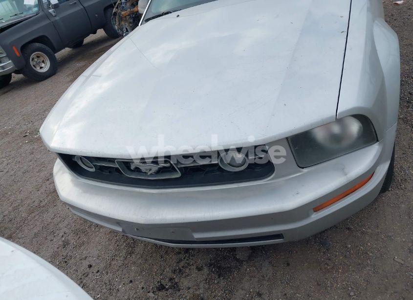 Photo 12 of 2009 Ford Mustang V6/V6 PREMIUM (VIN 1ZVHT80N995101409)