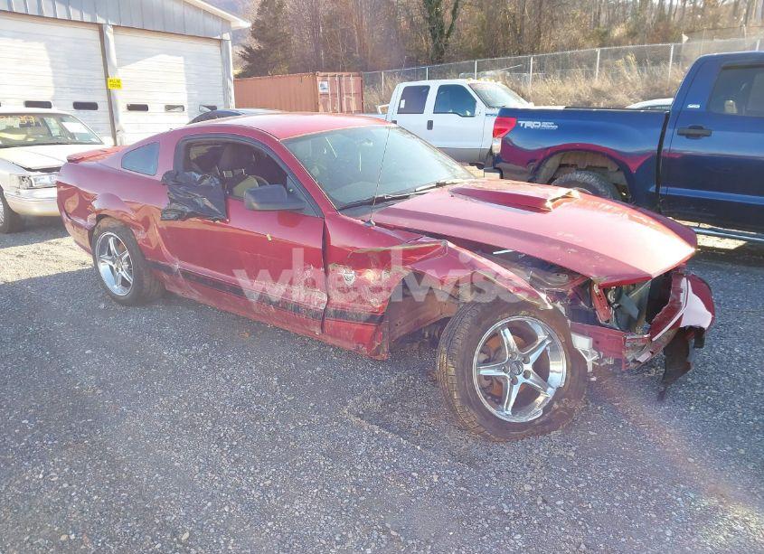 2009 Ford Mustang V6/V6 PREMIUM (VIN 1ZVHT80N995102298) main photo