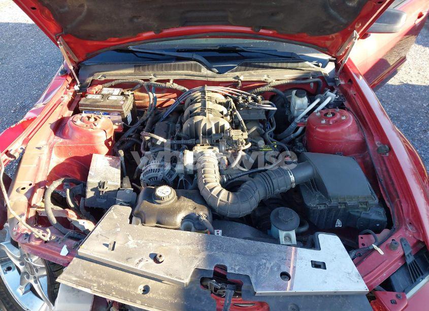 Photo 10 of 2009 Ford Mustang V6/V6 PREMIUM (VIN 1ZVHT80N995102298)