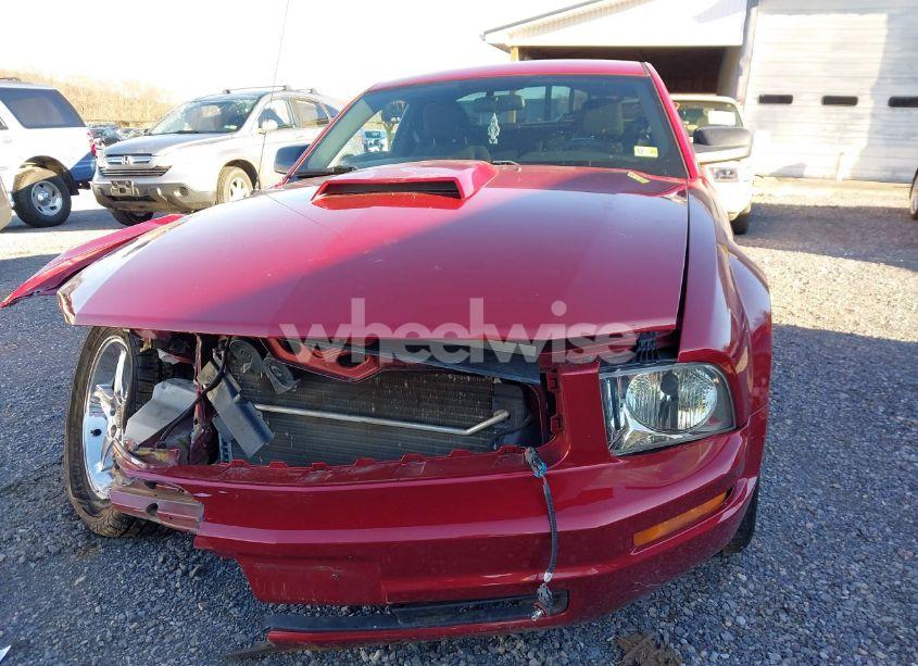 Photo 14 of 2009 Ford Mustang V6/V6 PREMIUM (VIN 1ZVHT80N995102298)