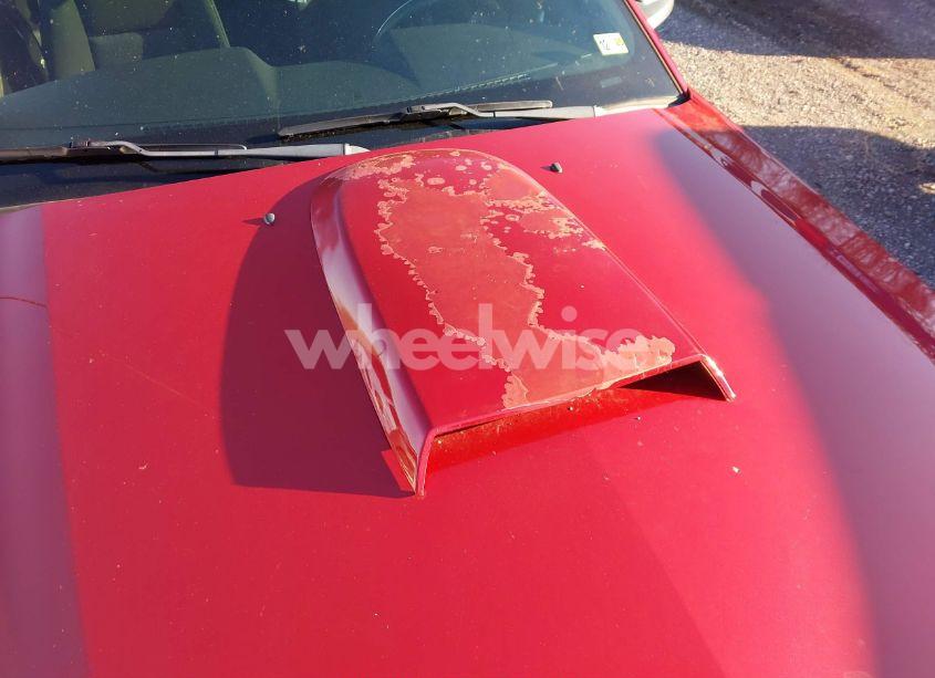 Photo 15 of 2009 Ford Mustang V6/V6 PREMIUM (VIN 1ZVHT80N995102298)