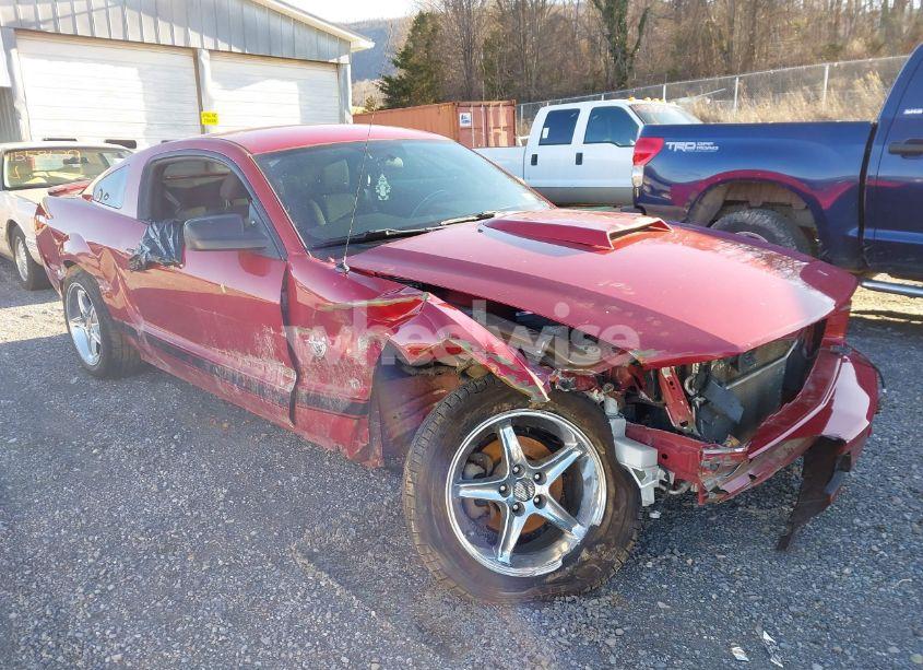 Photo 6 of 2009 Ford Mustang V6/V6 PREMIUM (VIN 1ZVHT80N995102298)