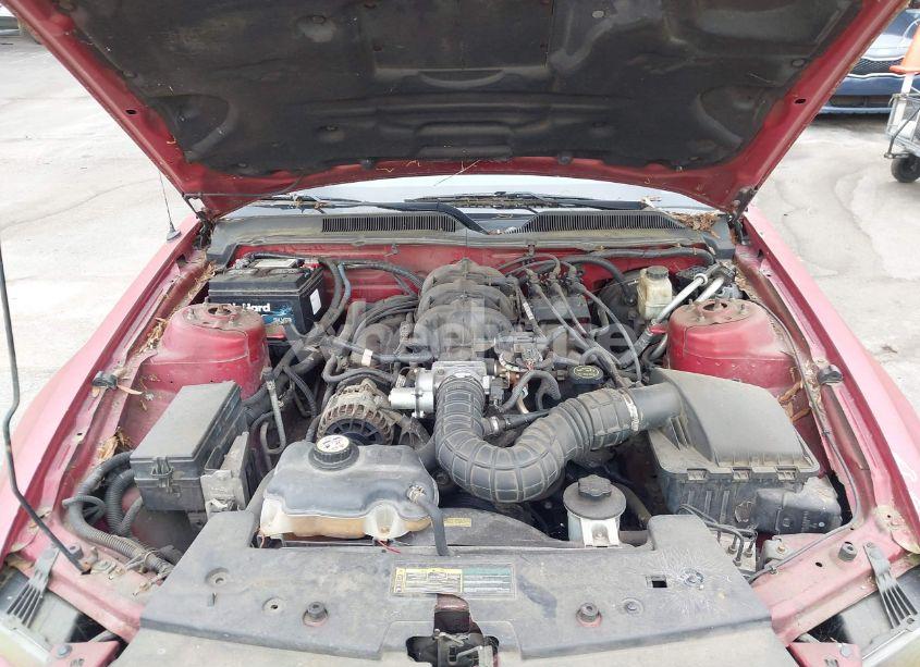 Photo 10 of 2009 Ford Mustang V6/V6 PREMIUM (VIN 1ZVHT80N995104312)