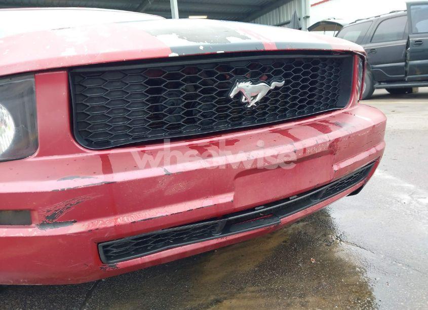 Photo 15 of 2009 Ford Mustang V6/V6 PREMIUM (VIN 1ZVHT80N995104312)