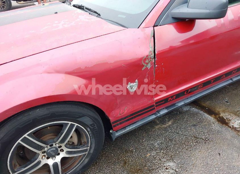 Photo 6 of 2009 Ford Mustang V6/V6 PREMIUM (VIN 1ZVHT80N995104312)