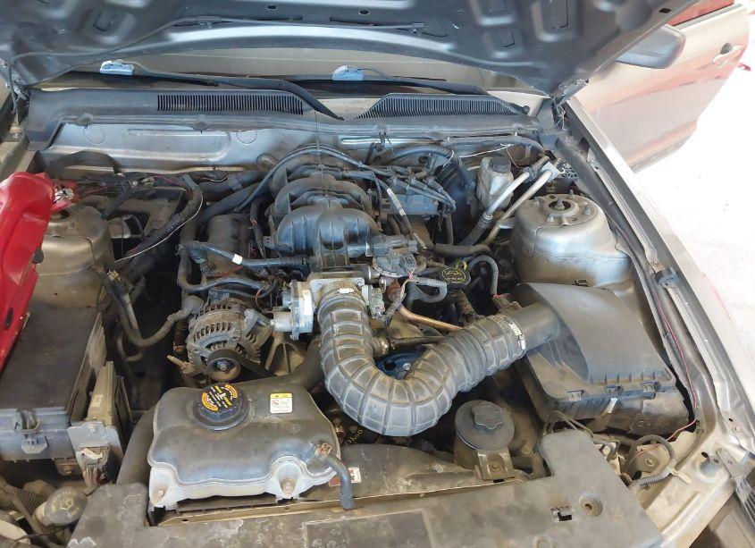 Photo 10 of 2009 Ford Mustang V6/V6 PREMIUM (VIN 1ZVHT80N995124334)