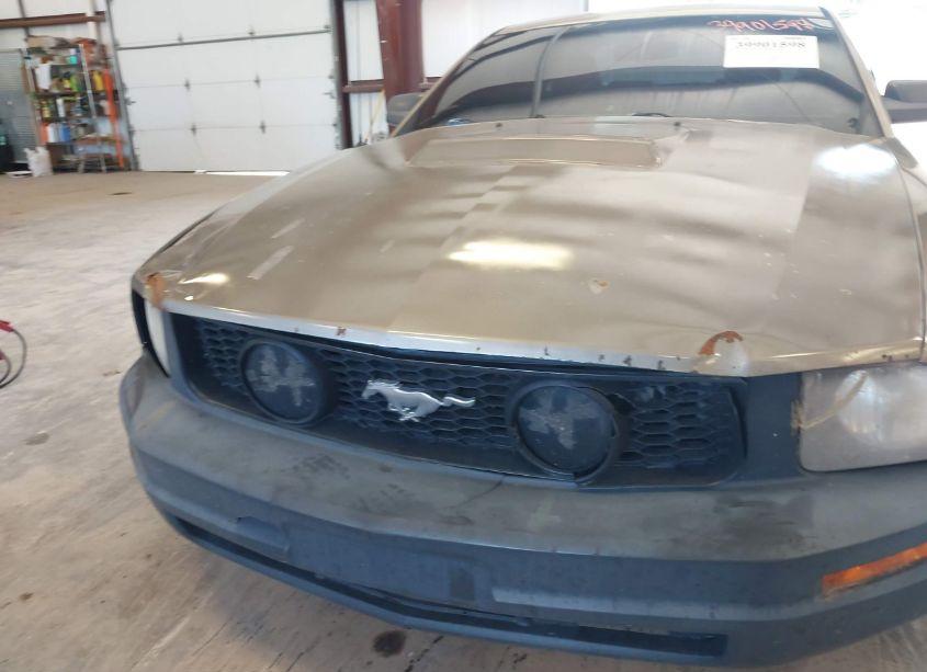 Photo 6 of 2009 Ford Mustang V6/V6 PREMIUM (VIN 1ZVHT80N995124334)