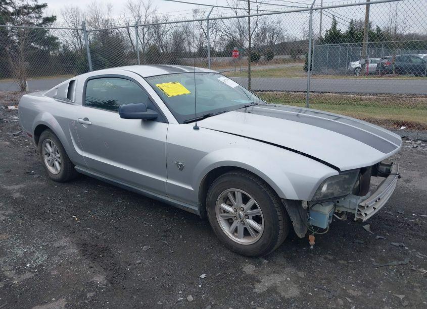 2009 Ford Mustang V6/V6 PREMIUM (VIN 1ZVHT80N995132272) main photo