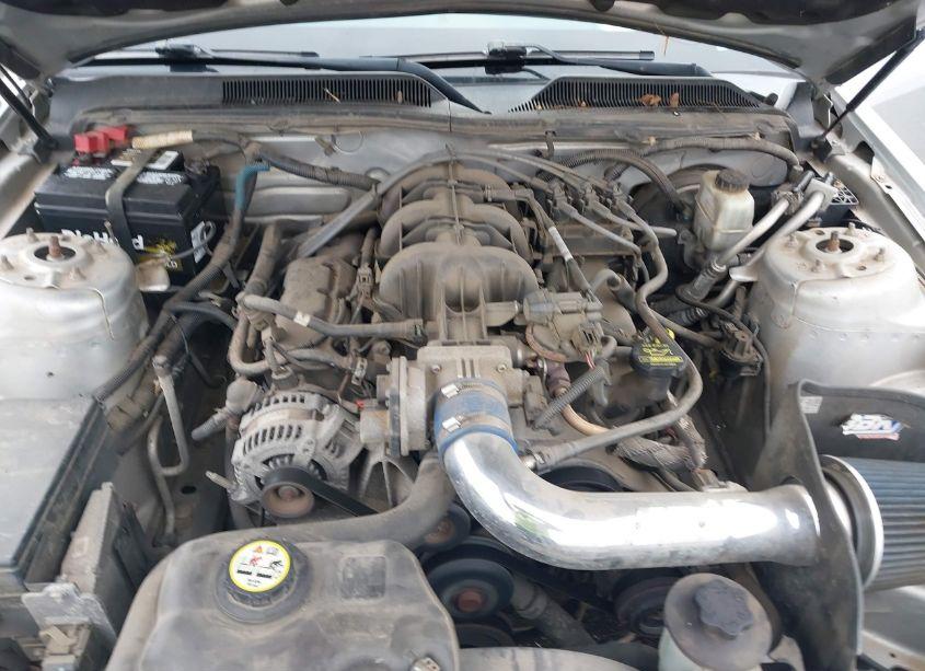 Photo 10 of 2009 Ford Mustang V6/V6 PREMIUM (VIN 1ZVHT80N995132272)