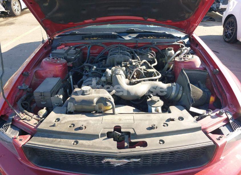 Photo 10 of 2009 Ford Mustang V6/V6 PREMIUM (VIN 1ZVHT80N995137410)