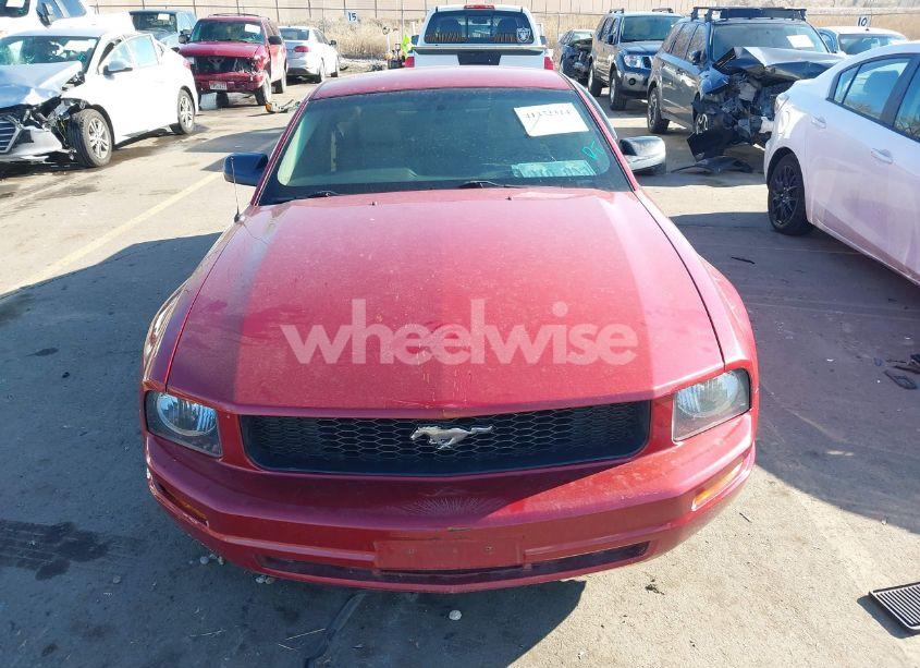 Photo 12 of 2009 Ford Mustang V6/V6 PREMIUM (VIN 1ZVHT80N995137410)