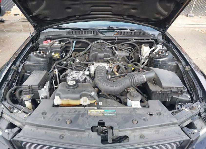 Photo 10 of 2009 Ford Mustang V6/V6 PREMIUM (VIN 1ZVHT80N995139769)