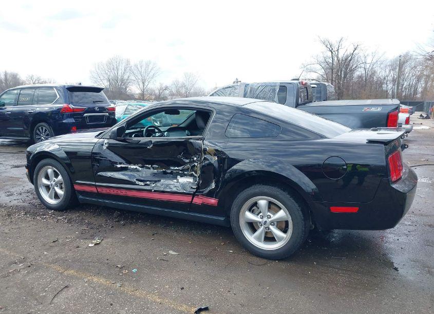 Photo 14 of 2009 Ford Mustang V6/V6 PREMIUM (VIN 1ZVHT80N995139769)