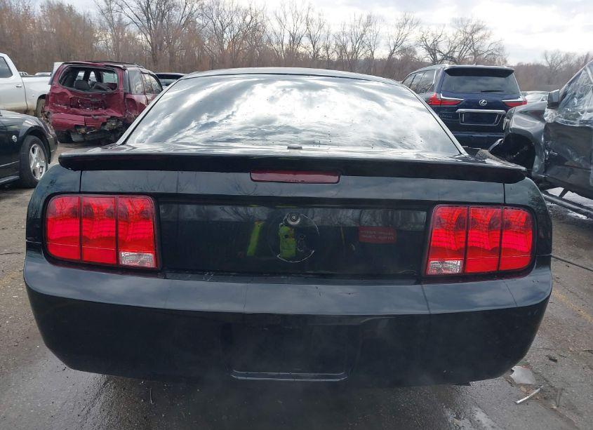 Photo 16 of 2009 Ford Mustang V6/V6 PREMIUM (VIN 1ZVHT80N995139769)