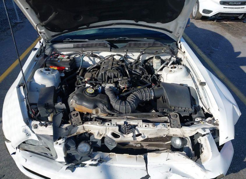 Photo 10 of 2009 Ford Mustang V6/V6 PREMIUM (VIN 1ZVHT80N995141764)