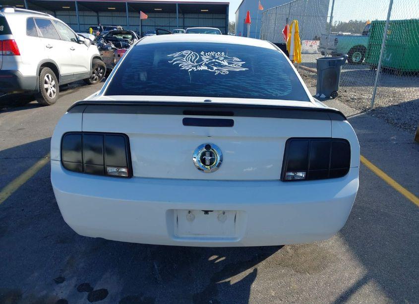 Photo 16 of 2009 Ford Mustang V6/V6 PREMIUM (VIN 1ZVHT80N995141764)