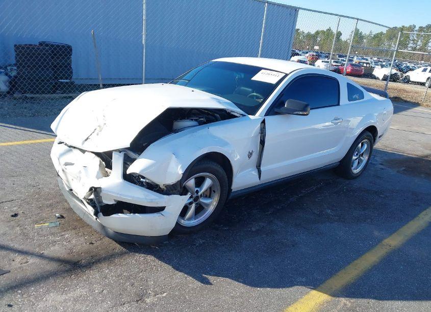 Photo 2 of 2009 Ford Mustang V6/V6 PREMIUM (VIN 1ZVHT80N995141764)