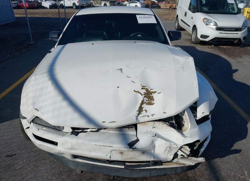 Photo 6 of 2009 Ford Mustang V6/V6 PREMIUM (VIN 1ZVHT80N995141764)