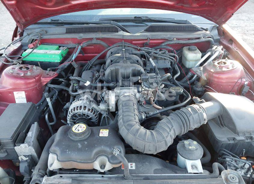 Photo 10 of 2006 Ford Mustang V6 (VIN 1ZVHT80NX65264971)