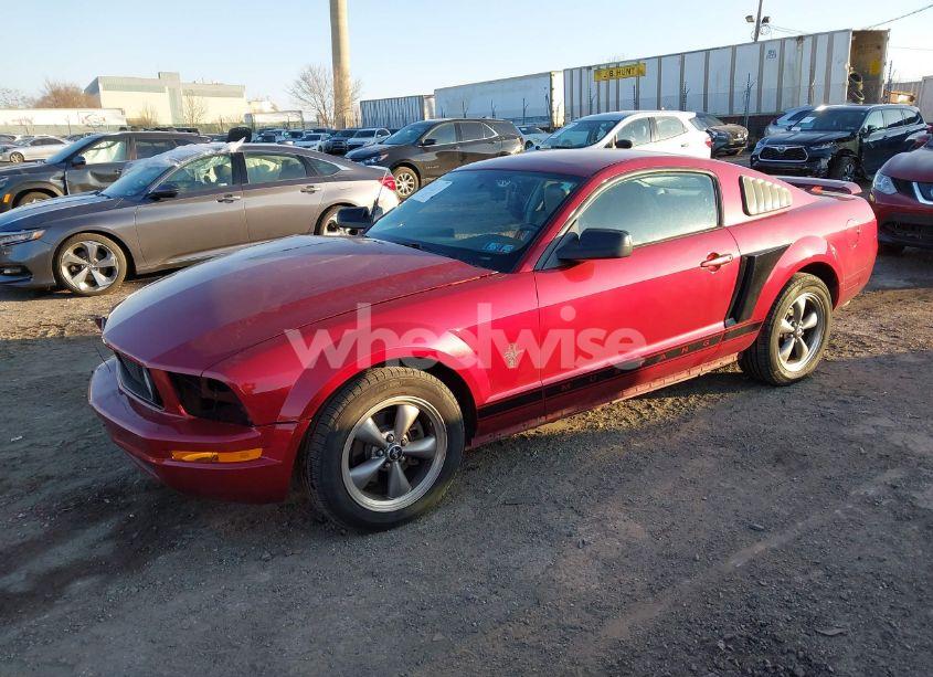 Photo 2 of 2006 Ford Mustang V6 (VIN 1ZVHT80NX65264971)