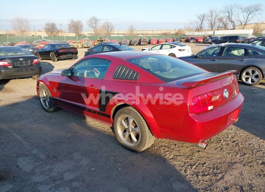 Photo 3 of 2006 Ford Mustang V6 (VIN 1ZVHT80NX65264971)