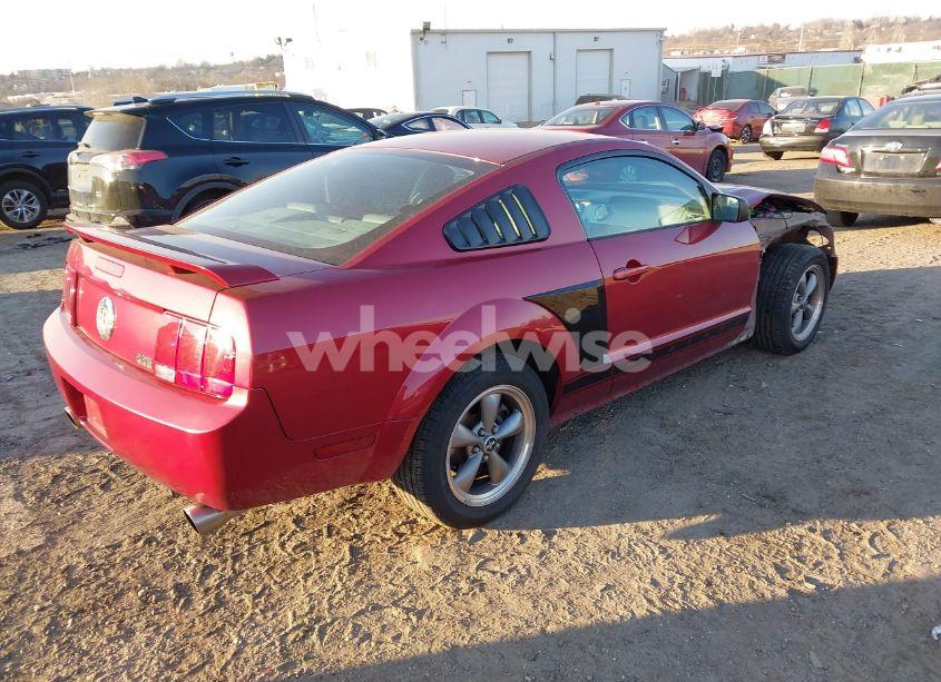 Photo 4 of 2006 Ford Mustang V6 (VIN 1ZVHT80NX65264971)
