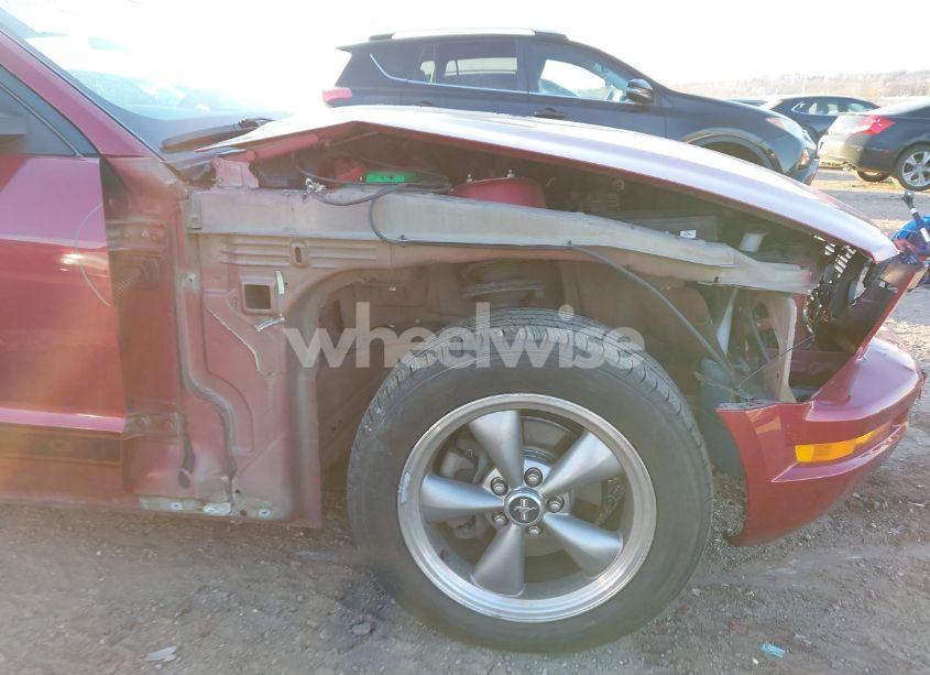 Photo 6 of 2006 Ford Mustang V6 (VIN 1ZVHT80NX65264971)