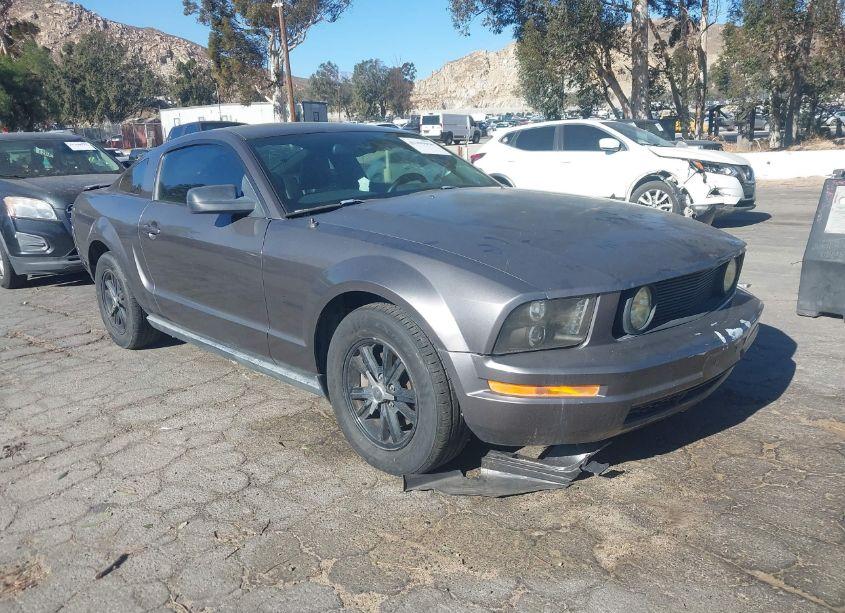 2007 Ford Mustang V6 DELUXE/V6 PREMIUM (VIN 1ZVHT80NX75289726) main photo
