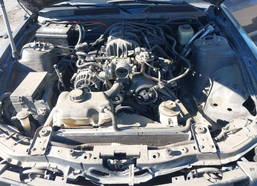 Photo 10 of 2007 Ford Mustang V6 DELUXE/V6 PREMIUM (VIN 1ZVHT80NX75289726)