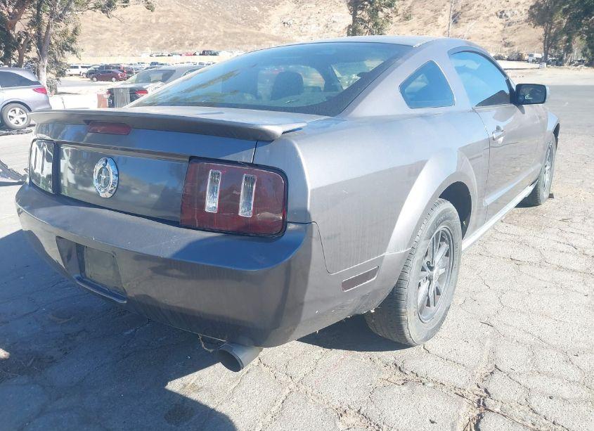 Photo 4 of 2007 Ford Mustang V6 DELUXE/V6 PREMIUM (VIN 1ZVHT80NX75289726)