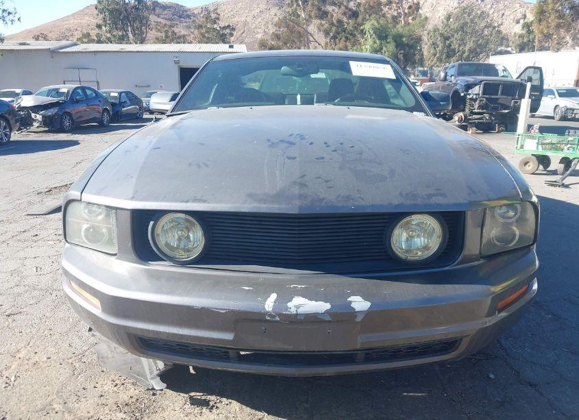 Photo 6 of 2007 Ford Mustang V6 DELUXE/V6 PREMIUM (VIN 1ZVHT80NX75289726)