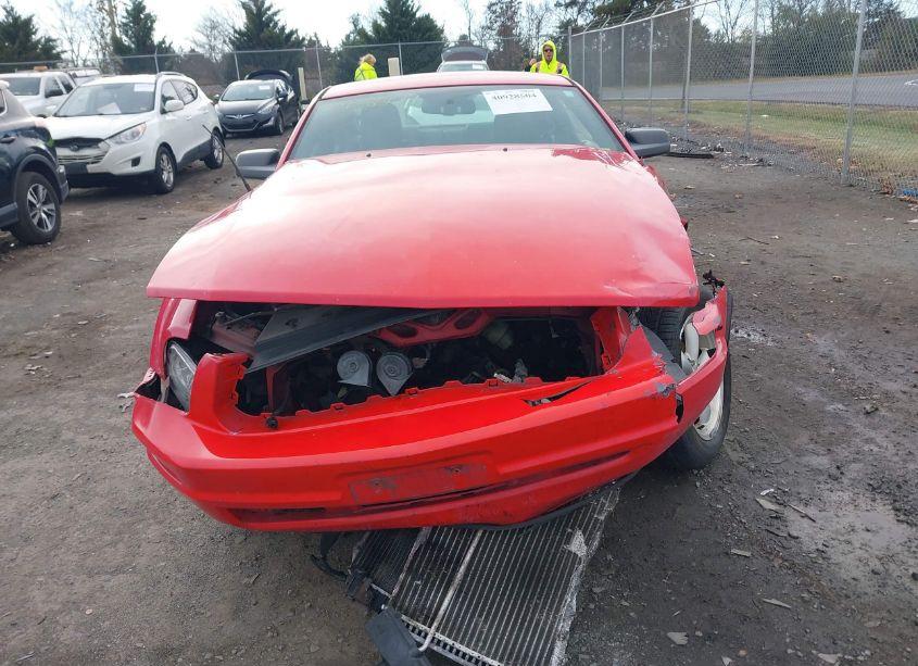 Photo 12 of 2008 Ford Mustang V6 DELUXE/V6 PREMIUM (VIN 1ZVHT80NX85106228)