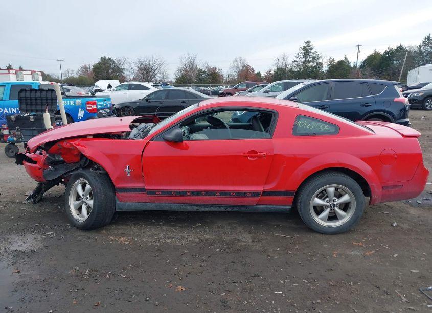 Photo 14 of 2008 Ford Mustang V6 DELUXE/V6 PREMIUM (VIN 1ZVHT80NX85106228)