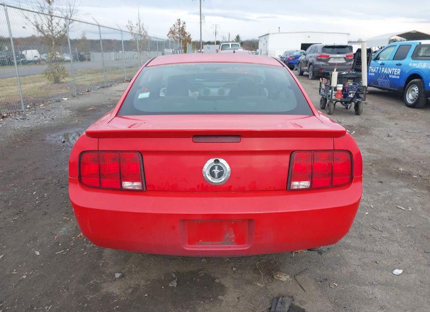 Photo 16 of 2008 Ford Mustang V6 DELUXE/V6 PREMIUM (VIN 1ZVHT80NX85106228)