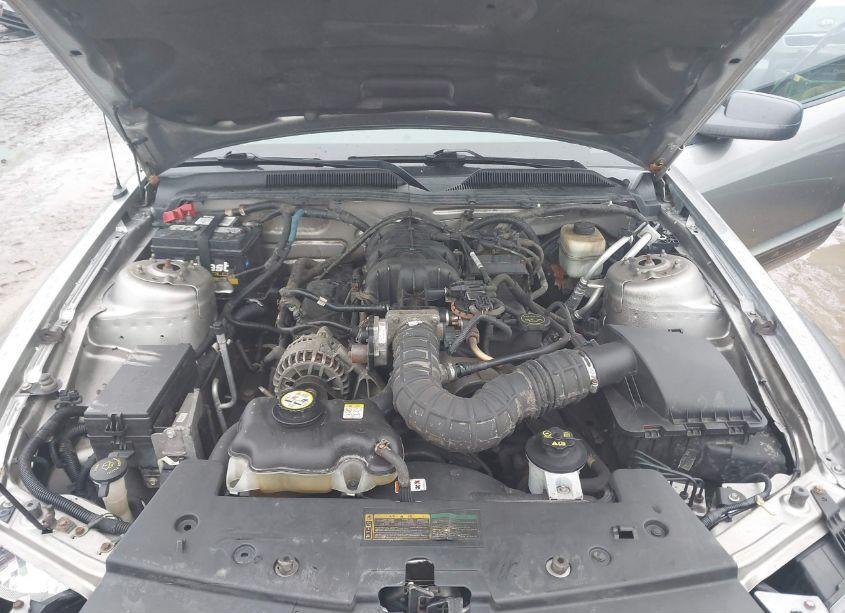 Photo 10 of 2008 Ford Mustang (VIN 1ZVHT80NX85110439)