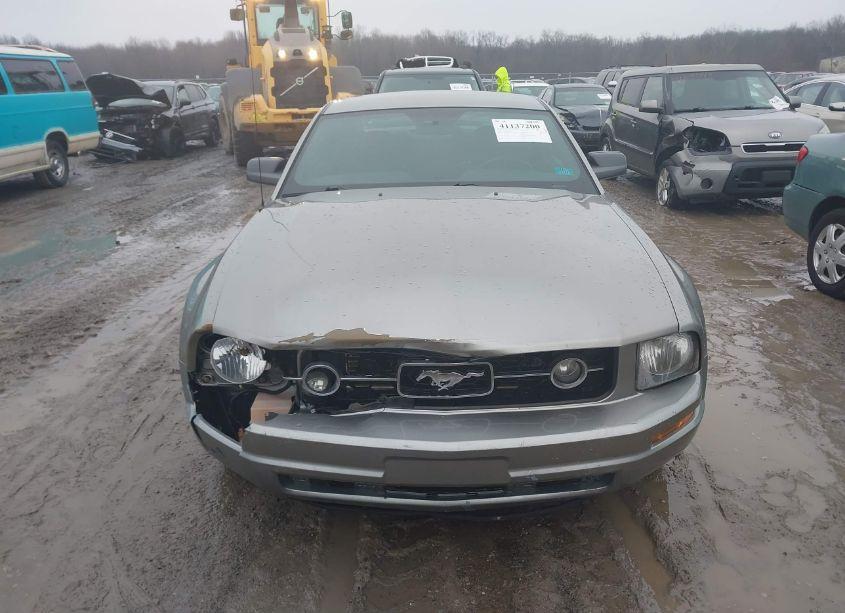 Photo 12 of 2008 Ford Mustang (VIN 1ZVHT80NX85110439)