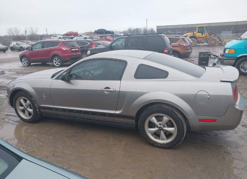 Photo 14 of 2008 Ford Mustang (VIN 1ZVHT80NX85110439)