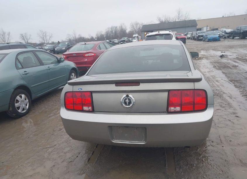 Photo 16 of 2008 Ford Mustang (VIN 1ZVHT80NX85110439)