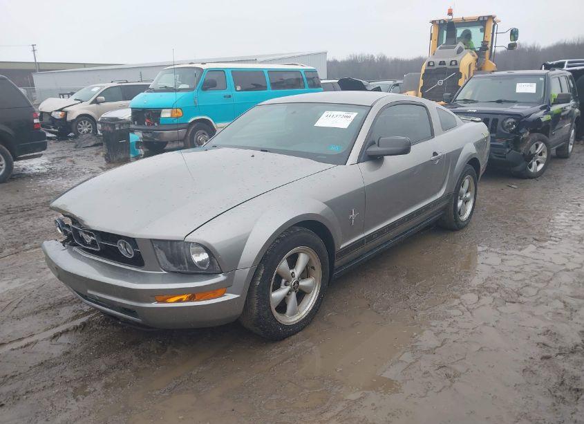 Photo 2 of 2008 Ford Mustang (VIN 1ZVHT80NX85110439)