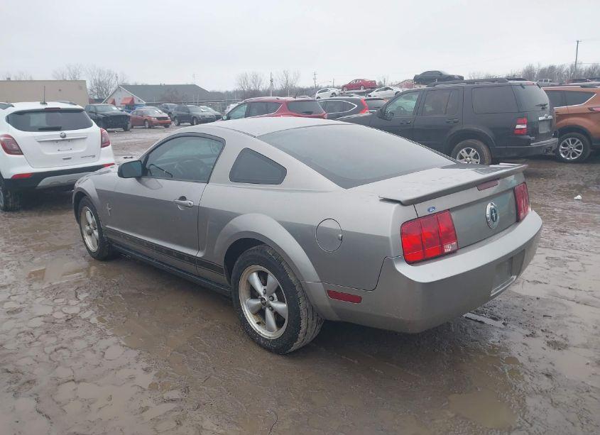 Photo 3 of 2008 Ford Mustang (VIN 1ZVHT80NX85110439)