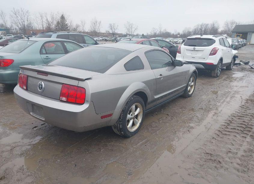 Photo 4 of 2008 Ford Mustang (VIN 1ZVHT80NX85110439)