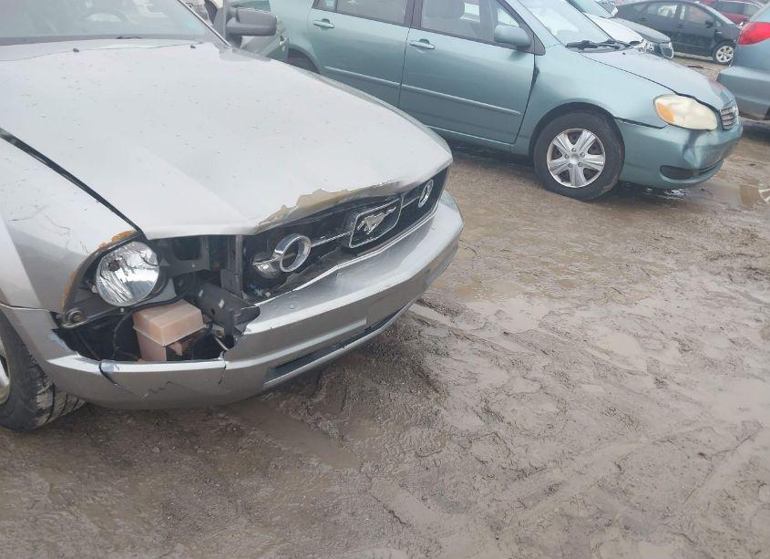 Photo 6 of 2008 Ford Mustang (VIN 1ZVHT80NX85110439)