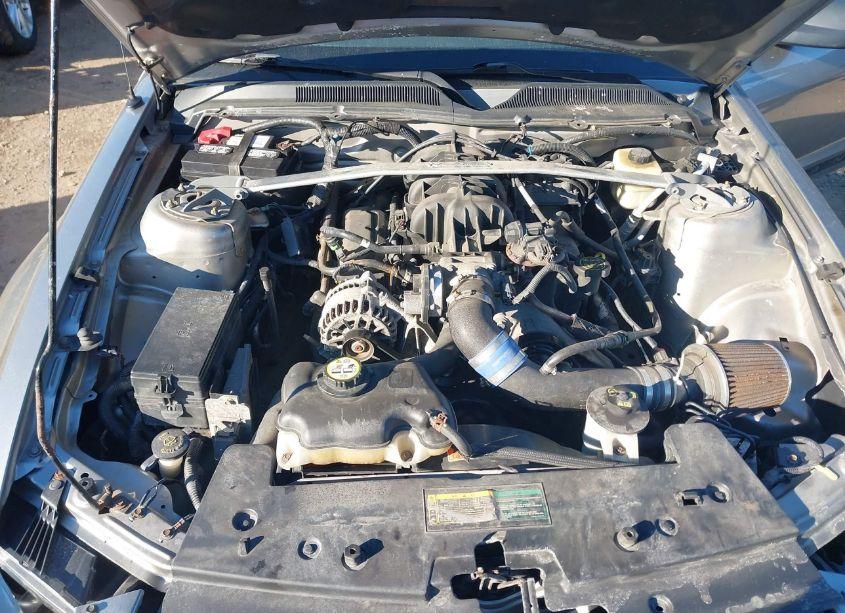 Photo 10 of 2008 Ford Mustang V6 DELUXE/V6 PREMIUM (VIN 1ZVHT80NX85154831)