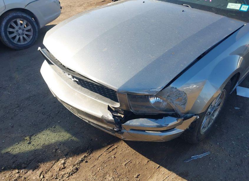 Photo 6 of 2008 Ford Mustang V6 DELUXE/V6 PREMIUM (VIN 1ZVHT80NX85154831)