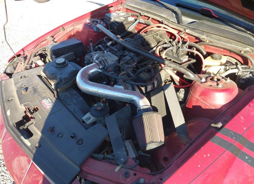 Photo 10 of 2008 Ford Mustang V6 DELUXE/V6 PREMIUM (VIN 1ZVHT80NX85156501)